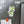 Personalized Cocktail Drink Cruise Door Magnets