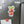 Personalized Cocktail Drink Cruise Door Magnets Cruise Door Magnets Cruise Into