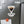 Personalized Cocktail Drink Cruise Door Magnets