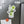 Personalized Cocktail Drink Cruise Door Magnets