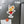 Personalized Cocktail Drink Cruise Door Magnets Cruise Door Magnets Cruise Into