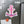 Pink anchor-shaped magnet with a light pink printed bow, white border and navy script
