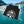 Alaska Cruise Hoodie 2026 Hoodie Cruise Into