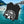 Alaska Cruise T-Shirt 2026 SHIRT Cruise Into
