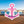 Pink anchor-shaped magnet with a light pink printed bow, white border and navy script