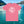 Alaska Cruise T-Shirt 2027 SHIRT