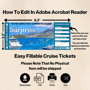 Printable Caribbean Cruise Ticket Boarding Pass PDF Digital Download Digital Download   